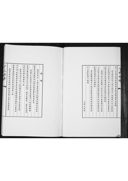 山东丁氏-丁氏族谱[不分卷].pdf电子版插图4