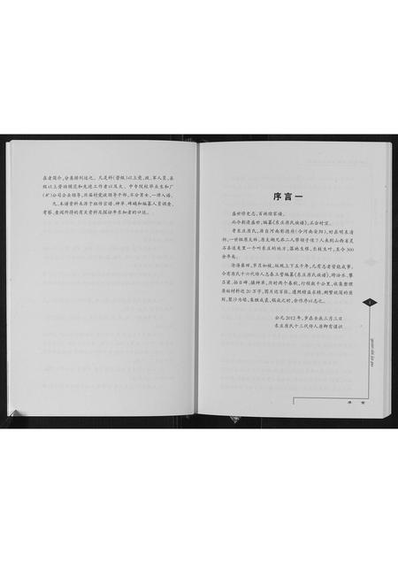 山西原氏-东庄原氏家谱[不分卷].pdf电子版插图4