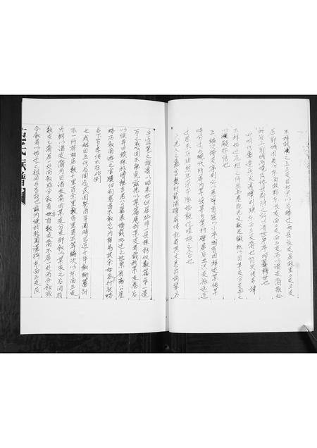 山东苑氏-苑氏族谱[不分卷].pdf电子版插图3