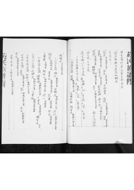 山东苑氏-苑氏族谱[不分卷].pdf电子版插图4