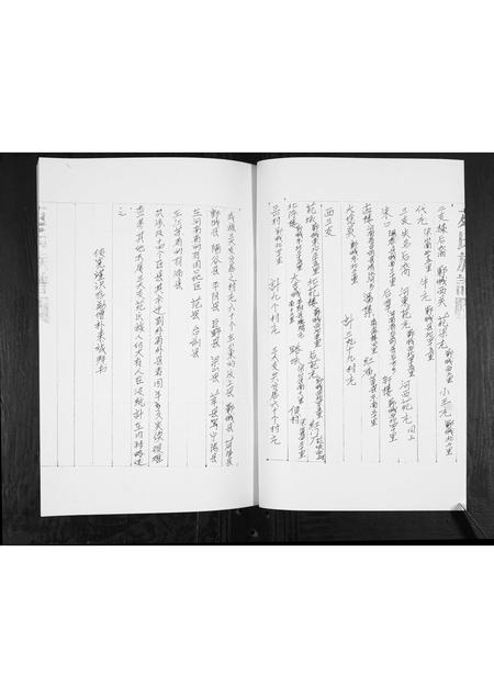 山东苑氏-苑氏族谱[不分卷].pdf电子版插图5