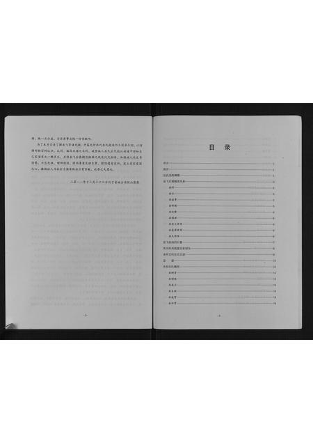 山西岳氏-岳氏宗谱.pdf电子版插图3