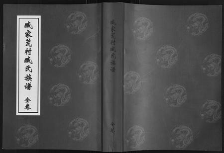 山东臧氏-臧家荒村臧氏族谱[1卷].pdf电子版