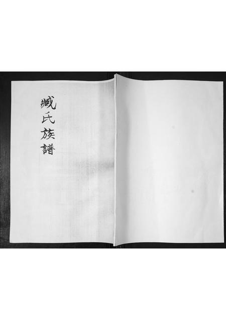 山东臧氏-臧氏族谱.pdf电子版