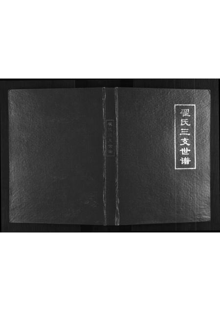 山东翟氏-翟氏三支世谱[不分卷].pdf电子版