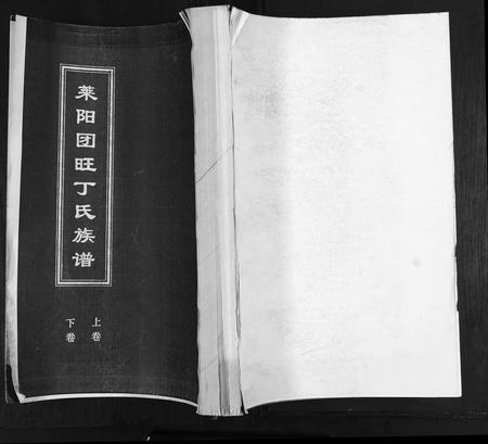 山东丁氏-莱阳团旺丁氏族谱[2卷].pdf电子版