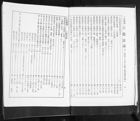 山东丁氏-莱阳团旺丁氏族谱[2卷].pdf电子版插图3