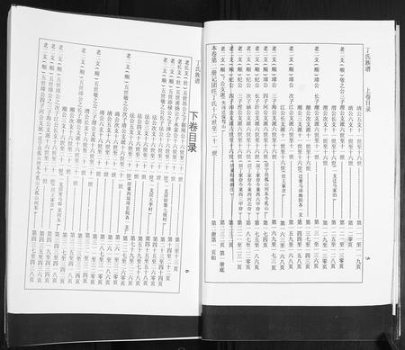 山东丁氏-莱阳团旺丁氏族谱[2卷].pdf电子版插图4