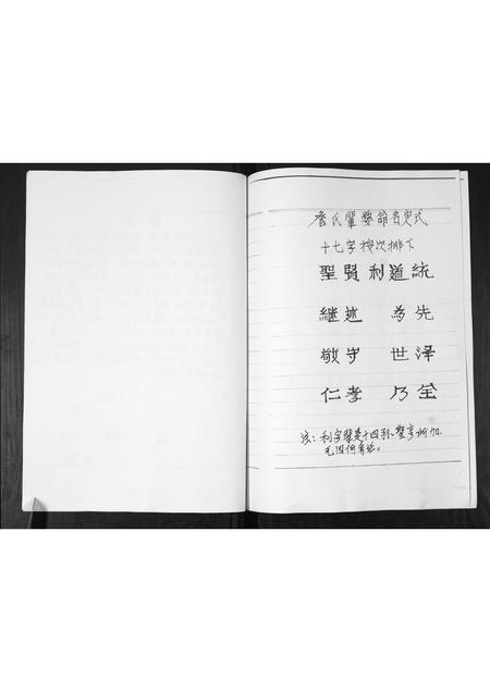 山东詹氏-詹氏族谱.pdf电子版插图3