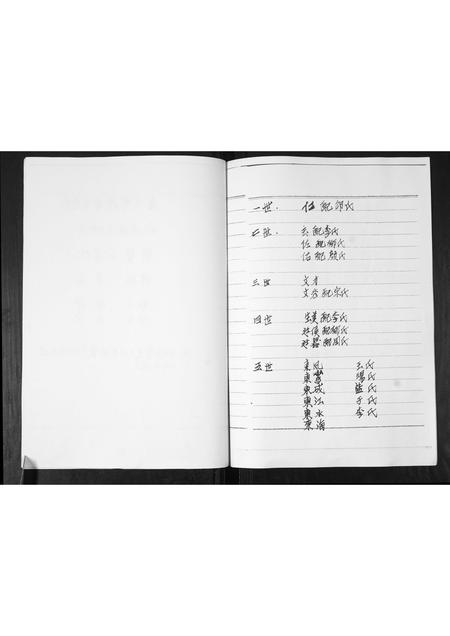 山东詹氏-詹氏族谱.pdf电子版插图5