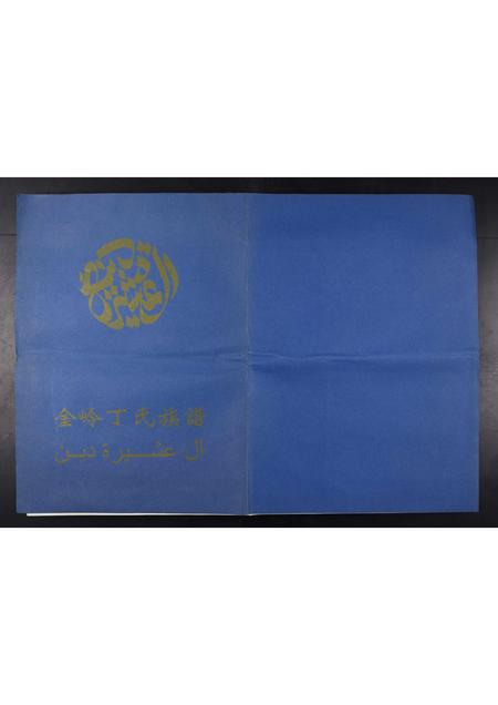 山东丁氏-金岭丁氏族谱[3卷].pdf电子版