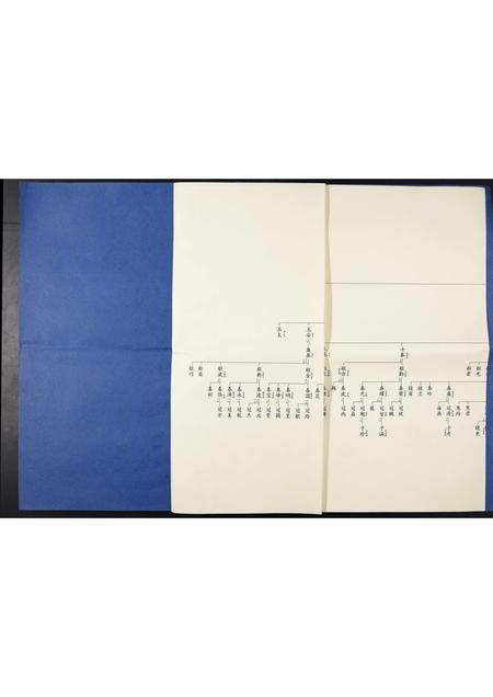 山东丁氏-金岭丁氏族谱[3卷].pdf电子版插图4