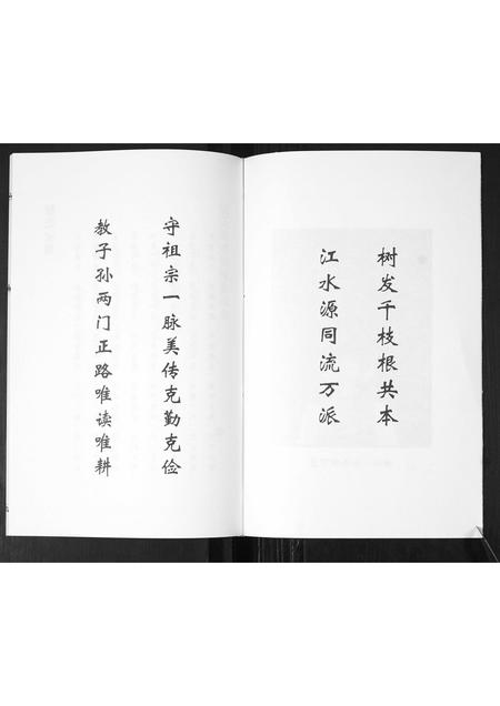 山东展氏-即墨展氏族谱[不分卷].pdf电子版插图3