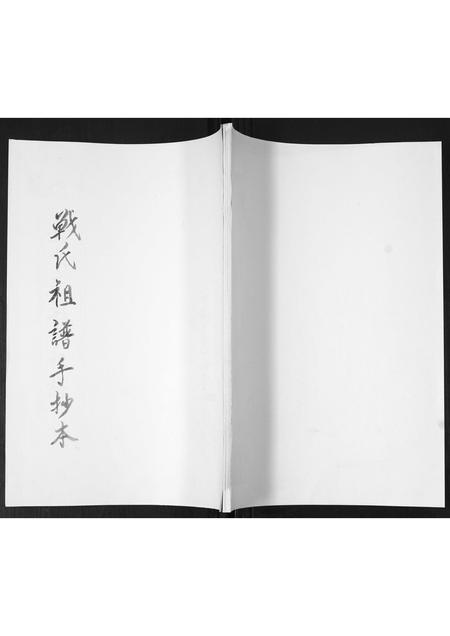 山东战氏-姜戈庄战氏祖谱.pdf电子版插图 山东战氏-姜戈庄战氏祖谱.pdf电子版插图