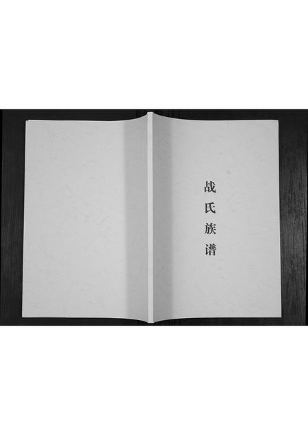 山东战氏-战氏族谱[不分卷].pdf电子版