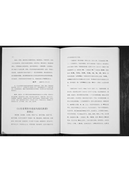 山东战氏-战氏族谱[不分卷].pdf电子版插图2