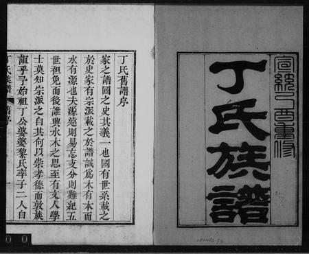 山东丁氏-丁氏族谱 [12卷].pdf电子版插图