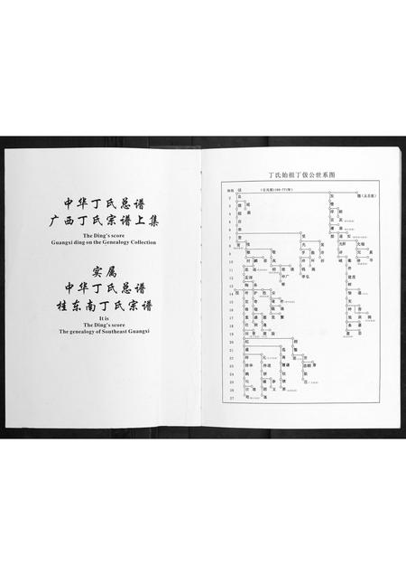 广西丁氏-中华丁氏总谱广西宗谱 [上集].pdf电子版插图1