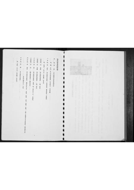 内蒙张氏-张氏世系简明谱[不分卷].pdf电子版插图3