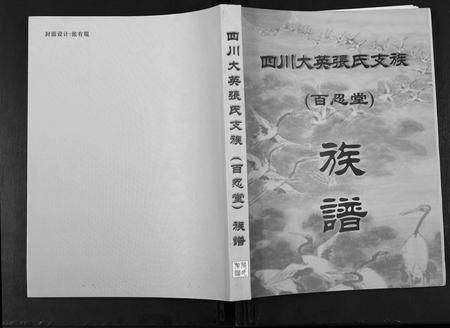 四川张氏-四川省大英张氏支族.pdf电子版插图