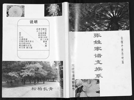 四川张氏-张姓家谱支族系.pdf电子版插图