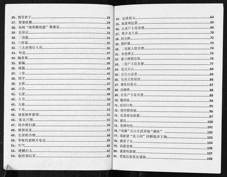 四川张氏-张姓家谱支族系.pdf电子版插图2