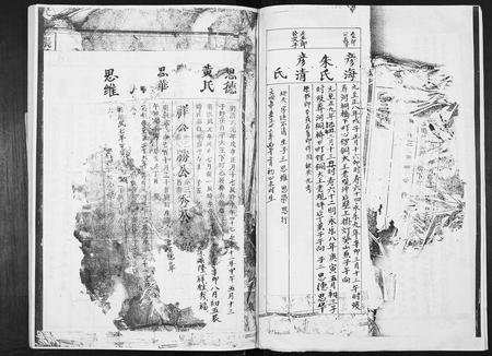 四川张氏-张氏三修族谱.pdf电子版插图2