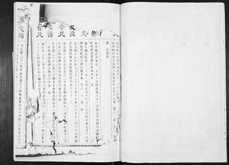 四川张氏-张氏三修族谱.pdf电子版插图5