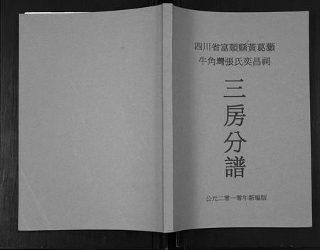 四川张氏-张氏奕昌祠族谱.pdf电子版插图