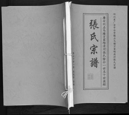 四川张氏-张氏宗谱.pdf电子版插图