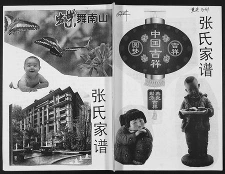 四川张氏-张氏家谱.pdf电子版插图
