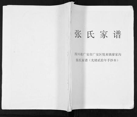 四川张氏-张氏家谱.pdf电子版插图