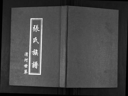 四川张氏-张氏族谱.pdf电子版插图