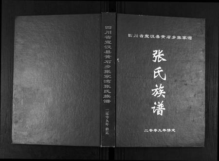 四川张氏-张氏族谱.pdf电子版插图