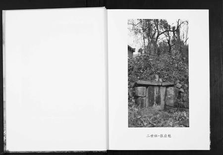 四川张氏-张氏族谱.pdf电子版插图4