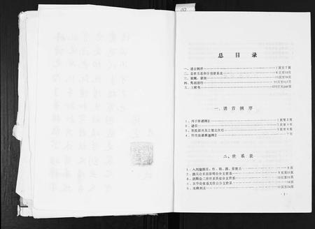 四川张氏-张氏族谱.pdf电子版插图4