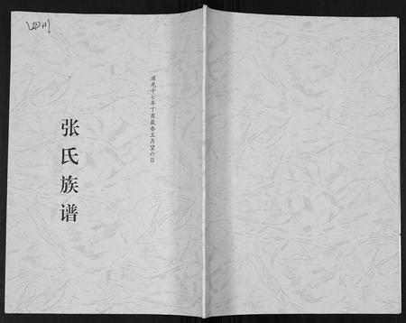 四川张氏-张氏族谱.pdf电子版插图