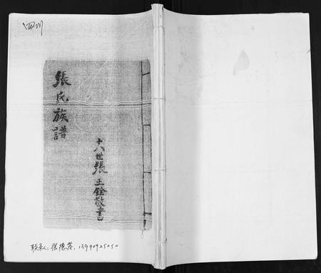 四川张氏-张氏族谱.pdf电子版插图