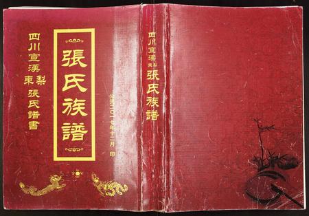 四川张氏-张氏族谱.pdf电子版插图