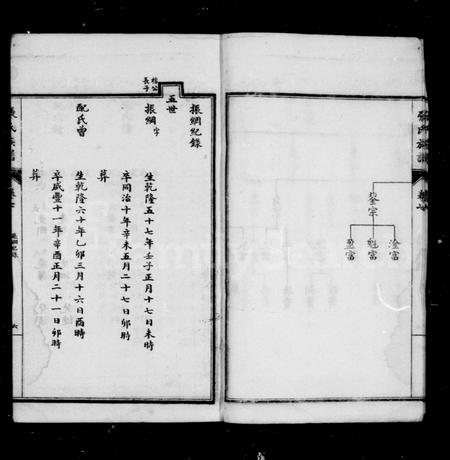 四川张氏-张氏族谱 [12卷,首1卷].pdf电子版插图5