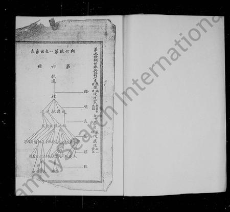 四川张氏-张氏族谱 [残卷].pdf电子版插图2
