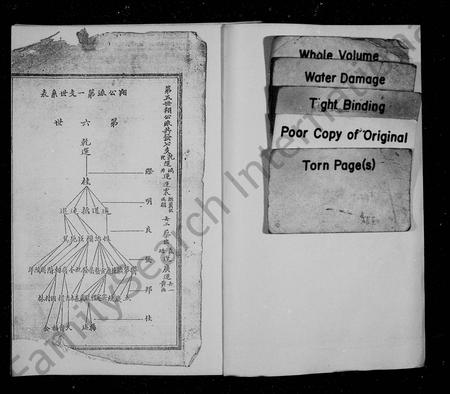 四川张氏-张氏族谱 [残卷].pdf电子版插图3