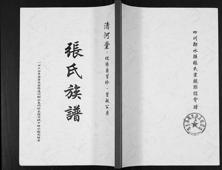 四川张氏-张氏族谱. 化孙裔习珍. 习敏公房.pdf电子版插图
