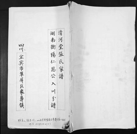 四川张氏-清河堂张氏家谱.pdf电子版插图