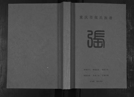 四川张氏-重庆市张氏族谱.pdf电子版插图