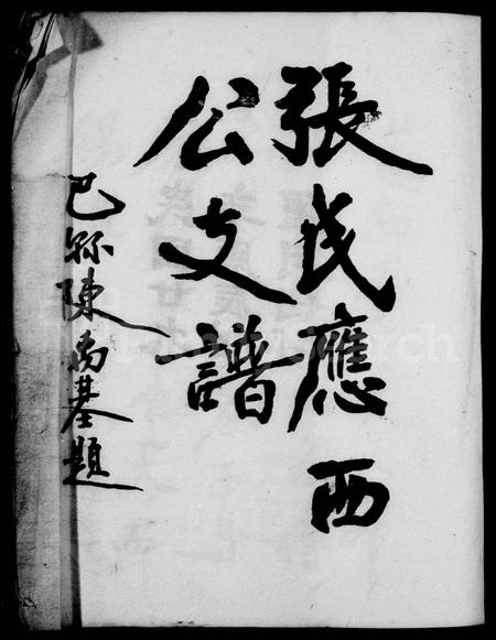 四川张氏-张氏应西公支谱(别名：张氏族谱).pdf电子版插图1