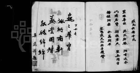 四川张氏-张氏应西公支谱(别名：张氏族谱).pdf电子版插图5