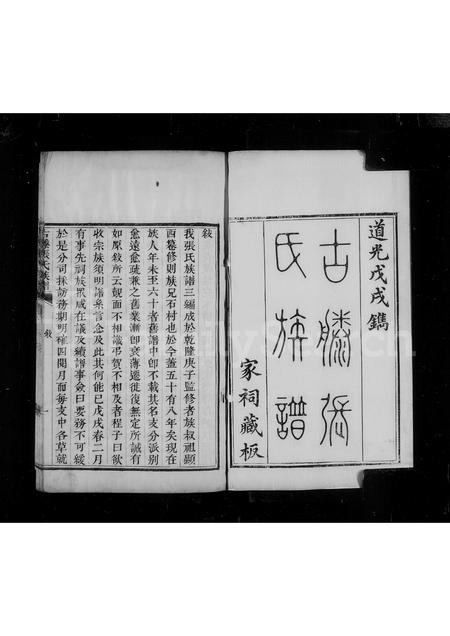 山东张氏-古滕张氏族谱 [4卷].pdf电子版插图4