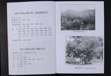 山东张氏-山东淄川岳阴张氏宗谱 [不分卷](别名：岳阴张氏宗谱).pdf电子版插图2