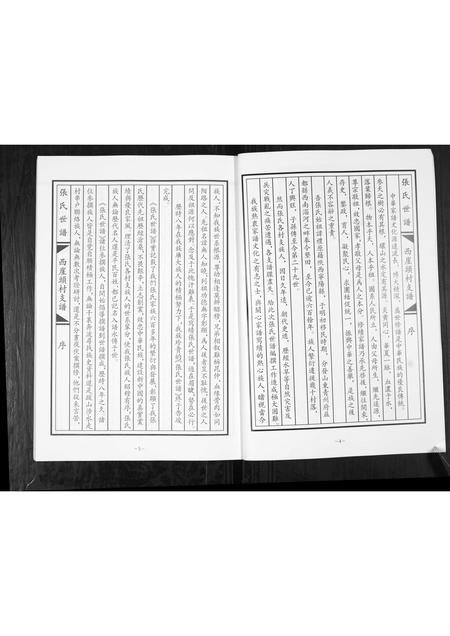 山东张氏-张氏世谱.西崖头村支.pdf电子版插图3 山东张氏-张氏世谱.西崖头村支.pdf电子版插图3